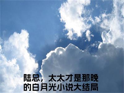 陆总，太太才是那晚的白月光是什么小说叶佳禾陆景墨-（叶佳禾陆景墨全文阅读）最新章节列表