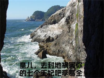 皇儿，去封地祸害你的七个王妃吧李寒无弹窗最新章节列表_笔趣阁