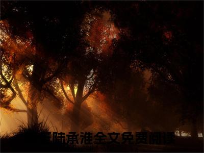 老书虫推荐南笙陆承淮小说-南笙陆承淮小说全章节阅读