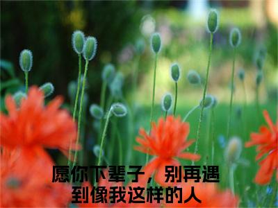 林妍柔陆深（愿你下辈子，别再遇到像我这样的人）全文免费阅读无弹窗大结局_愿你下辈子，别再遇到像我这样的人(愿你下辈子，别再遇到像我这样的人小说免费阅读)_笔趣阁