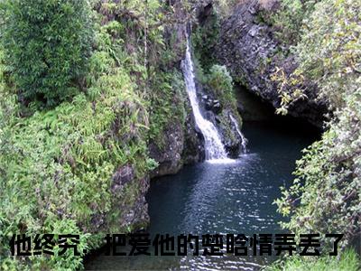 他终究...把爱他的楚晗情弄丢了今日更新最新章节 楚晗清纪洵阳在线阅读