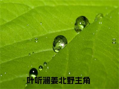 叶听澜姜北野小说在哪里可以看-新上热文叶听澜姜北野(叶听澜姜北野)小说全章节最新阅读