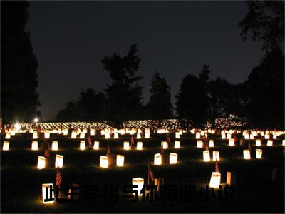 （此生幸得与你相遇）全文免费阅读 阮歆茗孟夜霖言情小说讲的是什么