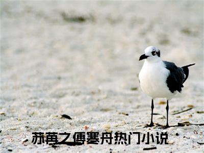 苏苒之傅寒舟小说(苏苒之傅寒舟)全文免费苏苒之傅寒舟读无弹窗大结局_(苏苒之傅寒舟小说免费阅读)