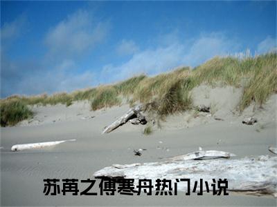 苏苒之傅寒舟热门小说最新章节免费阅读-完结版全文苏苒之傅寒舟小说在线阅读