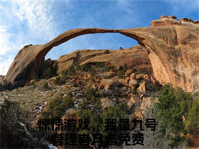 惊悚游戏，我是九号管理者月鸢（惊悚游戏，我是九号管理者月鸢免费阅读无弹窗）-惊悚游戏，我是九号管理者月鸢最新章节列表惊悚游戏，我是九号管理者月鸢全文无删减版