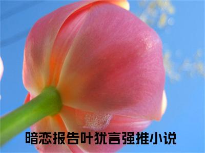 暗恋报告叶犹言小说（暗恋报告叶犹言）全文免费阅读无弹窗大结局_暗恋报告叶犹言全文免费完结版阅读（暗恋报告叶犹言）