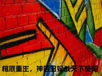 棺底重生，神医丑妃战天下楚昭（棺底重生，神医丑妃战天下楚昭）小说在线阅读_棺底重生，神医丑妃战天下楚昭免费阅读笔趣阁（棺底重生，神医丑妃战天下楚昭）