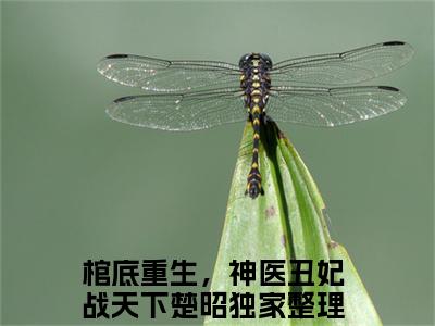 主角叫棺底重生，神医丑妃战天下楚昭的小说-《棺底重生，神医丑妃战天下楚昭》棺底重生，神医丑妃战天下楚昭最新章节在线阅读
