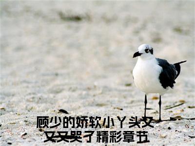 顾西晏乔蔓蔓（顾少的娇软小丫头又又又哭了）笔趣阁免费小说_顾西晏乔蔓蔓笔趣阁最新章节顾少的娇软小丫头又又又哭了免费在线阅读大结局