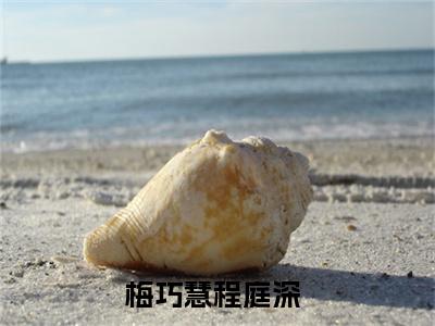 梅巧慧程庭深（梅巧慧程庭深）全文免费阅读无弹窗_梅巧慧程庭深最新小说_笔趣阁（梅巧慧程庭深）