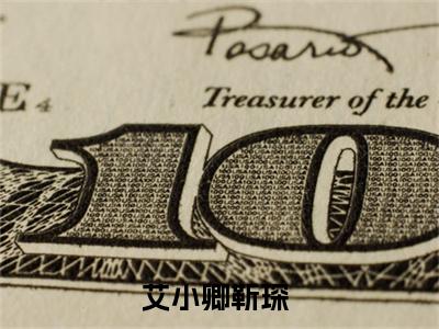 艾小卿靳琛全文免费阅读_（艾小卿靳琛免费阅读无弹窗）艾小卿靳琛最新章节列表笔趣阁（艾小卿靳琛）