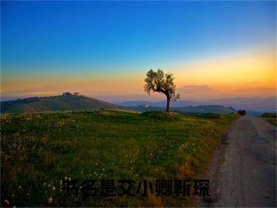 艾小卿靳琛(艾小卿靳琛）小说全文免费读无弹窗大结局_艾小卿靳琛小说全文免费阅读最新章节列表