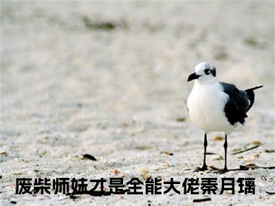 废柴师妹才是全能大佬秦月璃小说(废柴师妹才是全能大佬秦月璃)全文免费阅读_废柴师妹才是全能大佬秦月璃（废柴师妹才是全能大佬秦月璃）最新章节完整版免费阅读（废柴师妹才是全能大佬秦月璃）