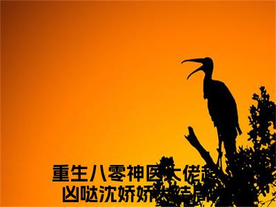 重生八零神医大佬超凶哒沈娇娇小说（重生八零神医大佬超凶哒沈娇娇）全文免费阅读-重生八零神医大佬超凶哒沈娇娇全文阅读无弹窗