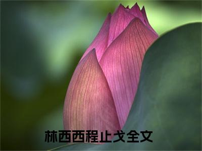 林西西程止戈（林西西程止戈）全文免费阅读无弹窗大结局_林西西程止戈在线阅读（林西西程止戈）最新章节列表笔趣阁（林西西程止戈）