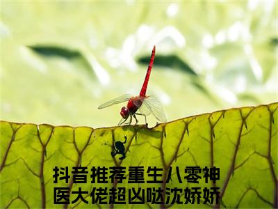 重生八零神医大佬超凶哒沈娇娇（重生八零神医大佬超凶哒沈娇娇精彩美文）免费阅读-小说重生八零神医大佬超凶哒沈娇娇最后结局如何