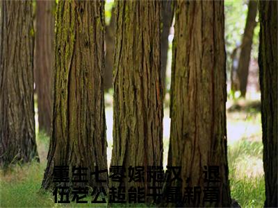 余酒徐子将（重生七零嫁糙汉，退伍老公超能干）全文免费阅读无弹窗大结局_(余酒徐子将)重生七零嫁糙汉，退伍老公超能干免费阅读无弹窗最新章节列表_笔趣阁（重生七零嫁糙汉，退伍老公超能干）