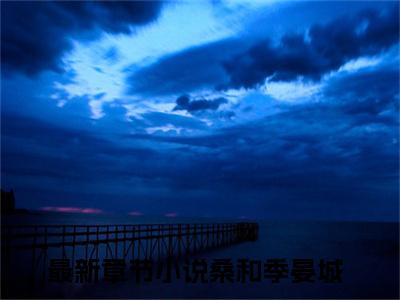 （桑和季晏城）全文免费阅读无弹窗大结局_桑和季晏城免费小说最新章节列表笔趣阁（桑和季晏城）