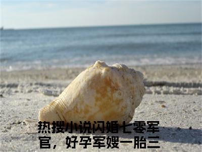 闪婚七零军官，好孕军嫂一胎三宝小说（姜妍陆云升）全文免费阅读无弹窗大结局_(姜妍陆云升)闪婚七零军官，好孕军嫂一胎三宝小说最新章节列表_笔趣阁（闪婚七零军官，好孕军嫂一胎三宝小说）