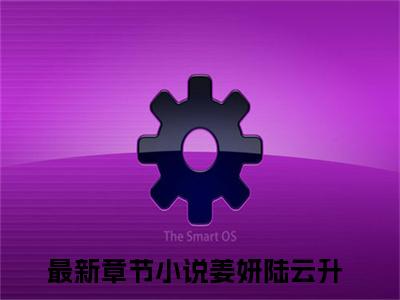 姜妍陆云升(闪婚七零军官，好孕军嫂一胎三宝)全文免费阅读无弹窗大结局_(闪婚七零军官，好孕军嫂一胎三宝)小说免费阅读最新章节列表