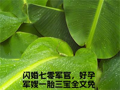 姜妍陆云升知乎小说全文免费阅读_（闪婚七零军官，好孕军嫂一胎三宝）姜妍陆云升完结版在线阅读最新章节列表笔趣阁