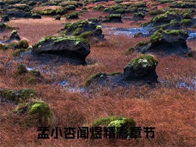 （孟小杏闻煜）全文免费阅读无弹窗大结局_（孟小杏闻煜阅读无弹窗）孟小杏闻煜最新章节列表_笔趣阁（孟小杏闻煜）