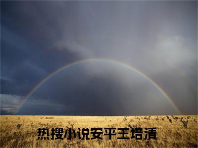 安平王培清小说在线阅读（安平王培清）全文免费阅读无弹窗大结局_安平王培清小说免费最新章节列表_笔趣阁（安平王培清）