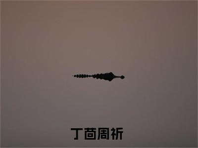 丁茴周祈（丁茴周祈）完整版全文全章节阅读丁茴周祈