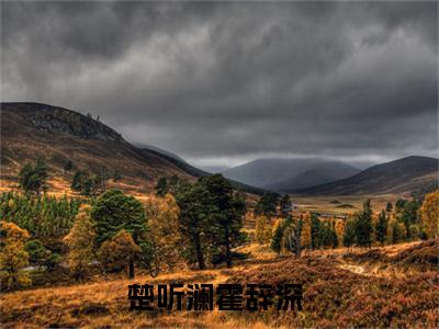 楚听澜霍辞深（楚听澜霍辞深）热门小说盘点在线阅读-楚听澜霍辞深小说无弹窗
