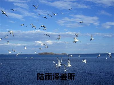 陆雨泽姜昕小说精选片段阅读-陆雨泽姜昕小说免费版最新更新阅读