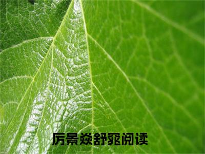 厉景焱舒窕（厉景焱舒窕）全文免费阅读无弹窗大结局_（厉景焱舒窕无弹窗）最新章节免费阅读_笔趣阁