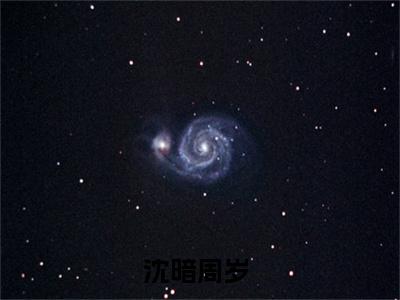 沈暗周岁高质量小说推荐阅读-沈暗周岁（沈暗周岁）小说最新章节
