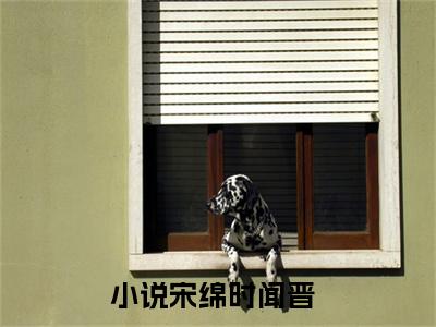 宋绵时闻晋（大结局小说全集完整版）宋绵时闻晋小说_宋绵时闻晋全文阅读笔趣阁