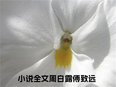 周白露傅致远（周白露傅致远）全文免费阅读无弹窗大结局_周白露傅致远小说全文免费阅读最新章节列表_笔趣阁