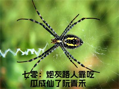 七零：炮灰路人靠吃瓜成仙了阮青禾（七零：炮灰路人靠吃瓜成仙了阮青禾）在线阅读大结局-七零：炮灰路人靠吃瓜成仙了阮青禾小说最新章节阅读-笔趣阁