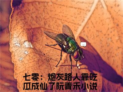 七零：炮灰路人靠吃瓜成仙了阮青禾(七零：炮灰路人靠吃瓜成仙了阮青禾)全文免费阅读无弹窗大结局_(七零：炮灰路人靠吃瓜成仙了阮青禾免费阅读全文大结局)最新章节列表