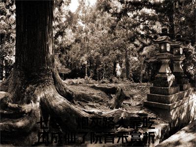 七零：炮灰路人靠吃瓜成仙了阮青禾小说全文免费阅读正版 七零：炮灰路人靠吃瓜成仙了阮青禾免费阅读无弹窗