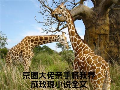 京圈大佬亲手将我养成玫瑰小说慕星翊傅廷北全章节阅读-主角为京圈大佬亲手将我养成玫瑰的小说叫什么慕星翊傅廷北