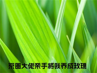 京圈大佬亲手将我养成玫瑰小说全文免费阅读（慕星翊傅廷北）全文免费阅读无弹窗_京圈大佬亲手将我养成玫瑰小说全文免费阅读_笔趣阁（慕星翊傅廷北）