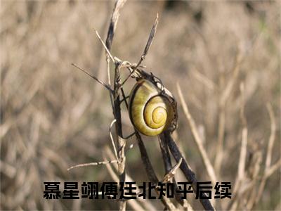 京圈大佬亲手将我养成玫瑰小说完整版阅读-慕星翊傅廷北小说全文无删减版