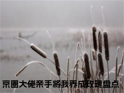 慕星翊傅廷北(京圈大佬亲手将我养成玫瑰小说)全文免费阅读无弹窗大结局-京圈大佬亲手将我养成玫瑰小说最新章节列表_笔趣阁