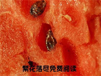 (热推新书)璇瑶宸桦全文免费阅读无弹窗大结局-热推繁花落尽无弹窗阅读璇瑶宸桦在线阅读
