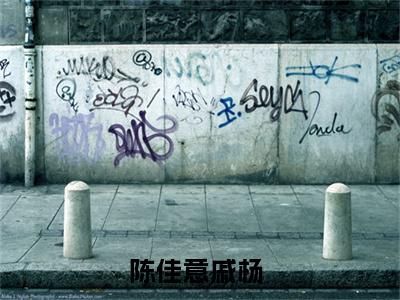 （陈佳意戚杨）全文无弹窗阅读-小说主角叫什么陈佳意戚杨