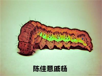 陈佳意戚杨全文免费阅读（陈佳意戚杨）全文免费阅读大结局_陈佳意戚杨全文免费阅读无弹窗_笔趣阁