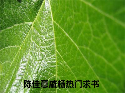 陈佳意戚杨小说在哪里可以看-新上热文陈佳意戚杨(陈佳意戚杨)小说全章节最新阅读