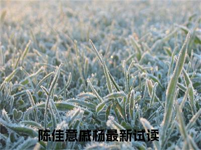 陈佳意戚杨的书名全文免费 陈佳意戚杨在线阅读小说免费阅读