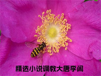 主角叫调教大唐李闲的小说-调教大唐李闲最新章节在线阅读