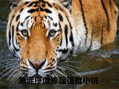 （萧淮序虞汐瑶）是什么小说-（萧淮序虞汐瑶）无弹窗免费阅读大结局最新章节列表_笔趣阁
