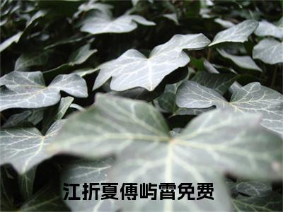 江折夏傅屿霄免费江折夏傅屿霄读无弹窗最新章节列表_笔趣阁（江折夏傅屿霄）